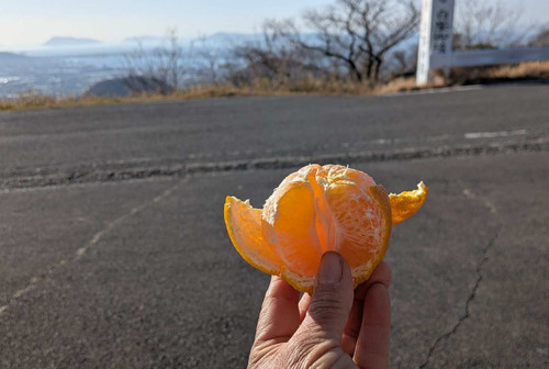 Pxl_20260219_064201021