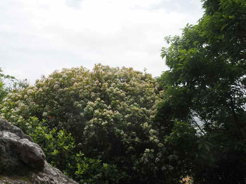 P5234054