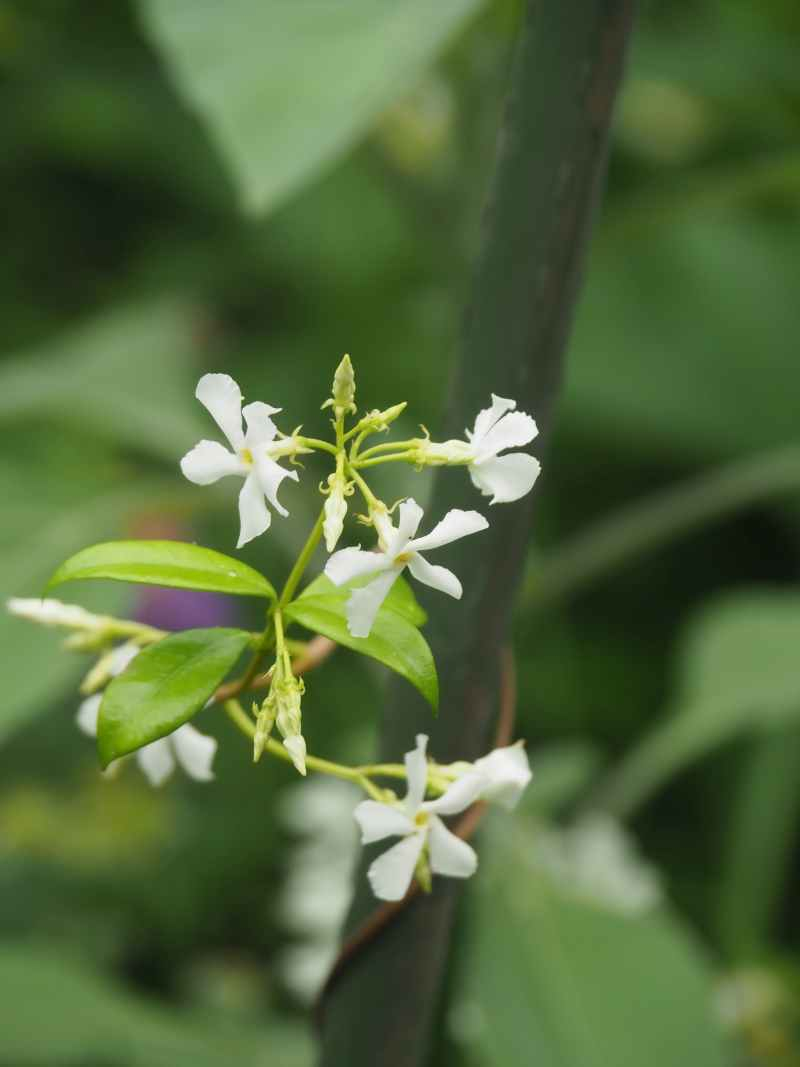 P6065165