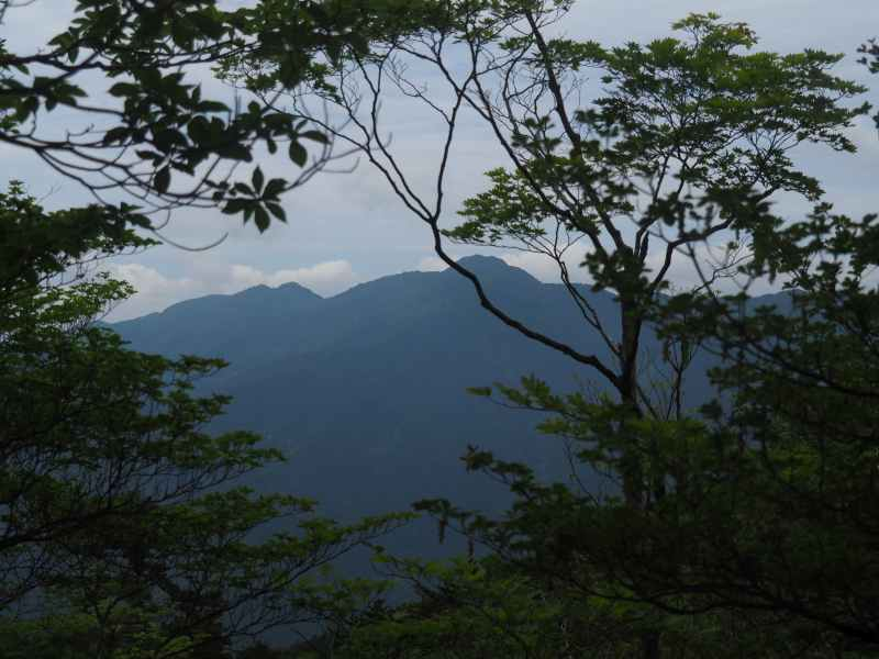 P6246125