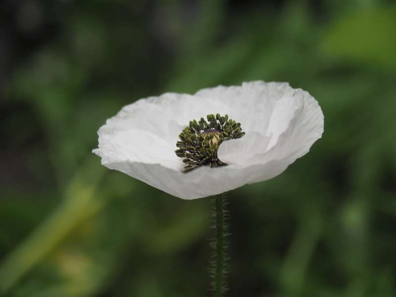P6067062