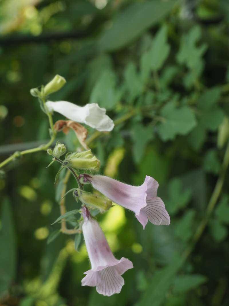 P9091741