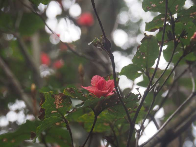 Pc056391