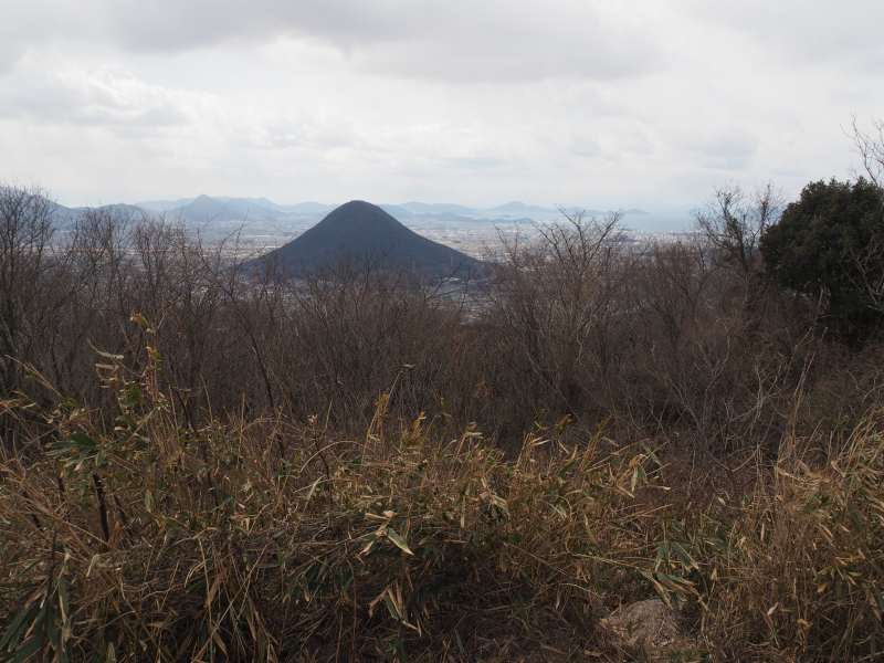 P2068809