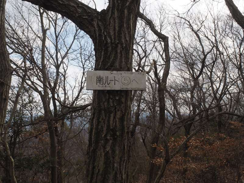 P2068823