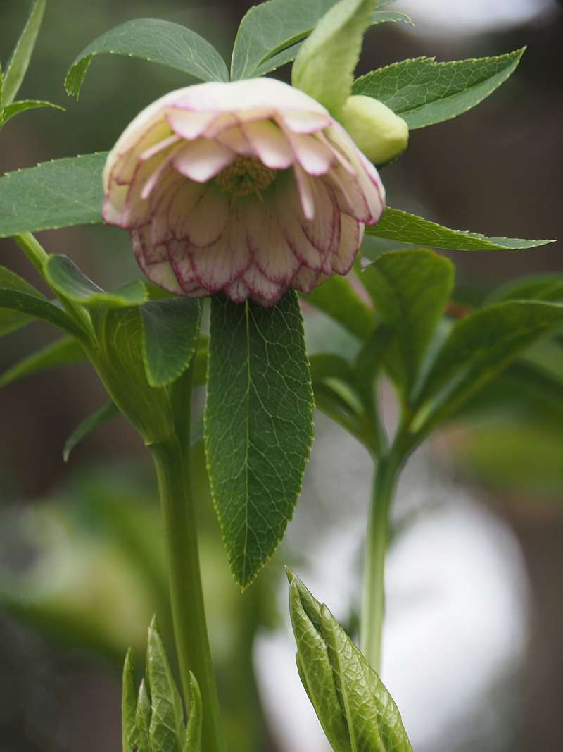 P3240649