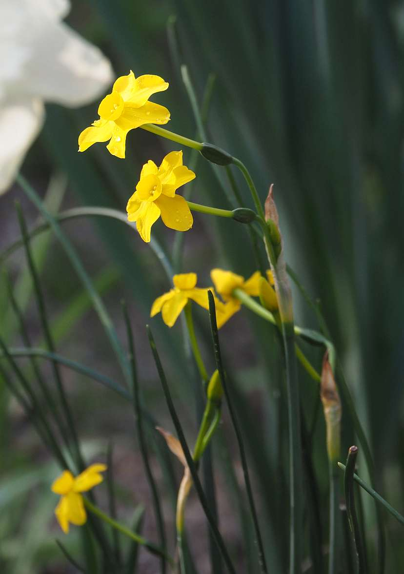 P3260853