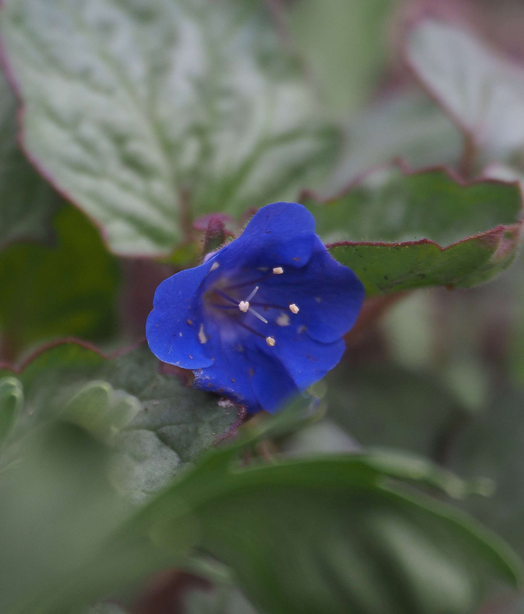 P3280935