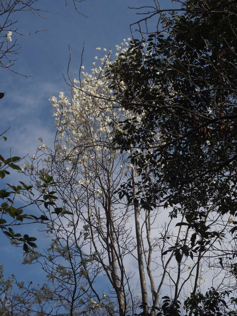 P3291019