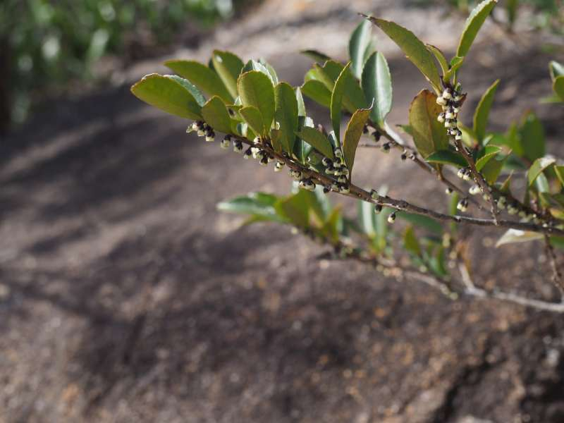 P3291034