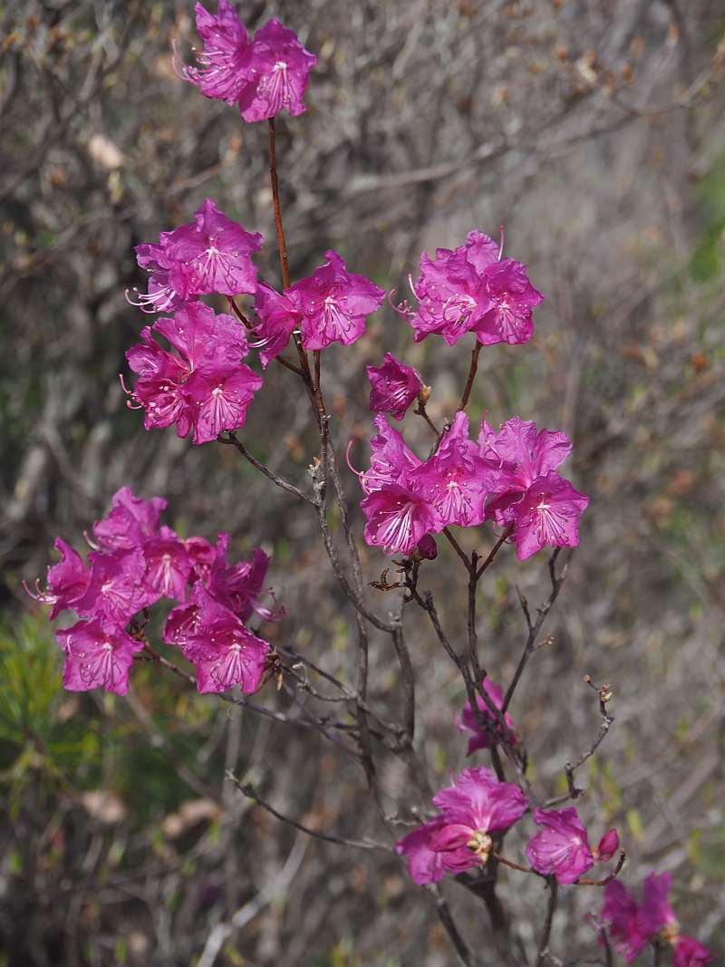 P3291080
