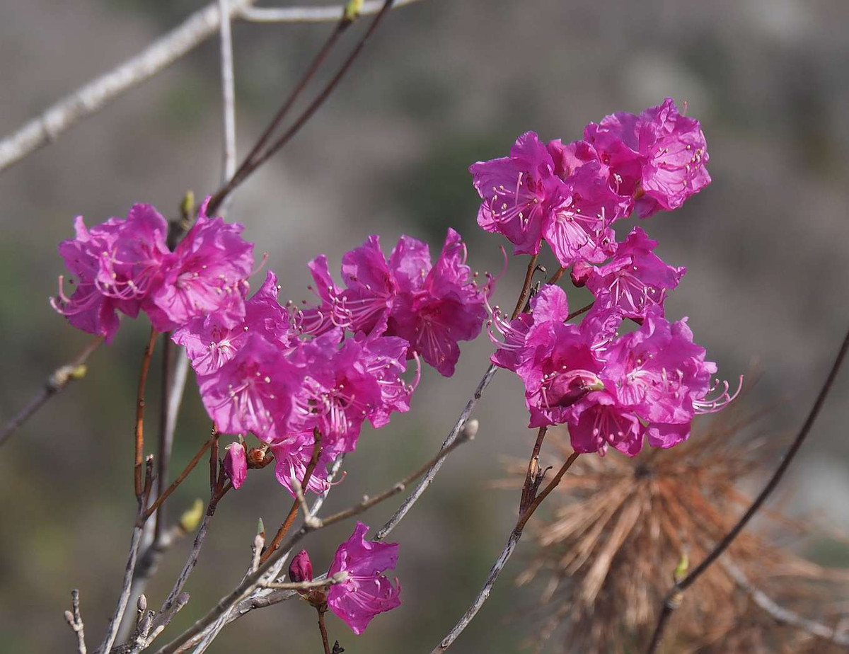 P3291084