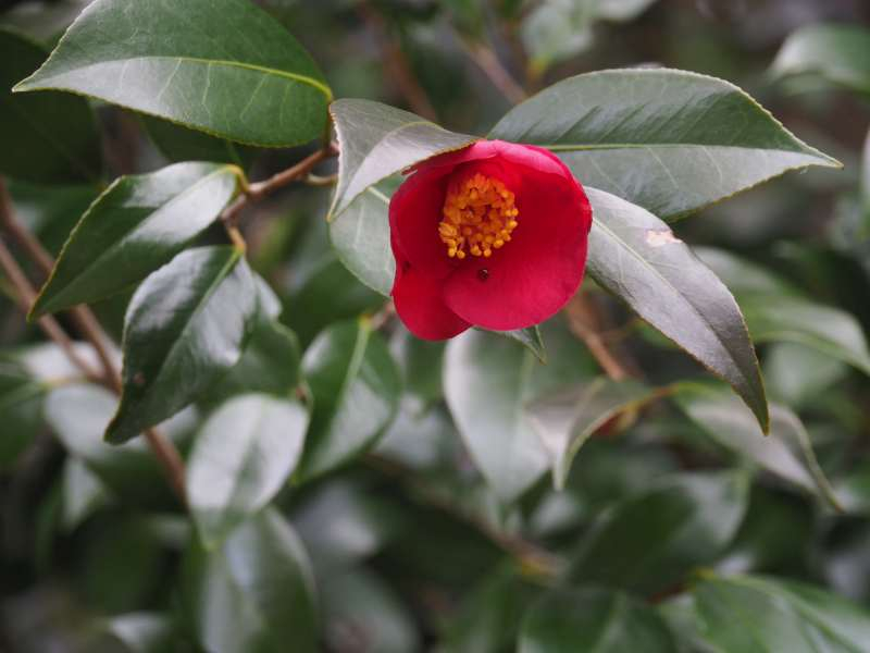 P3291160