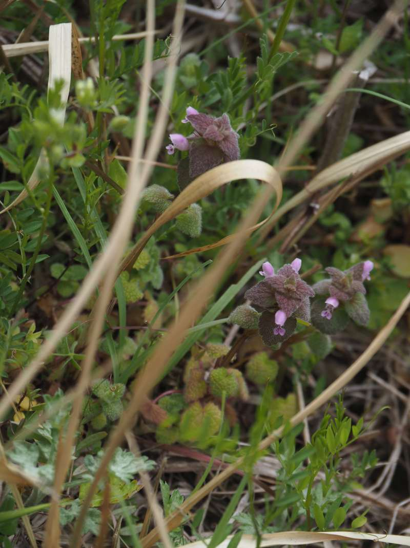 P3291161