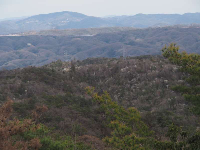 P3291243