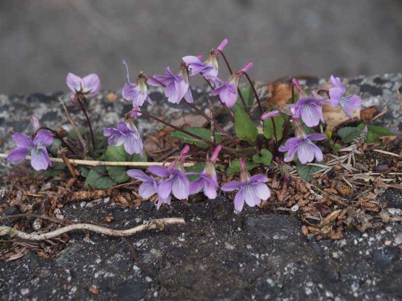 P3291260