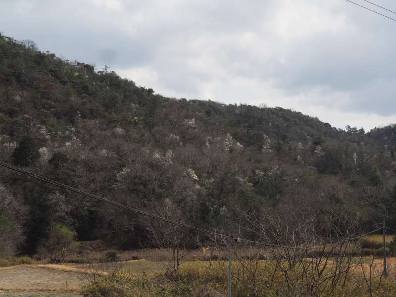 P3291273