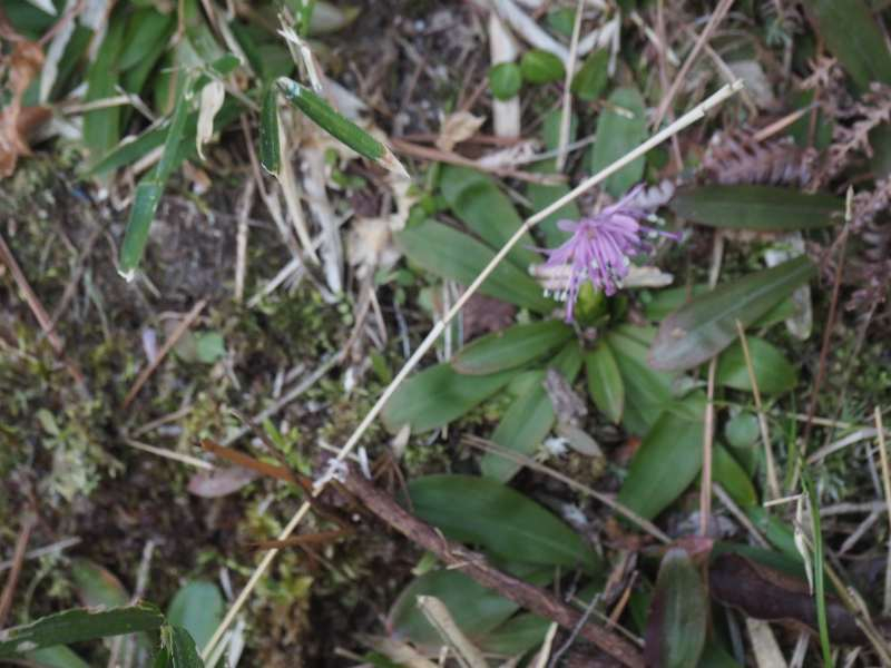 P3291287