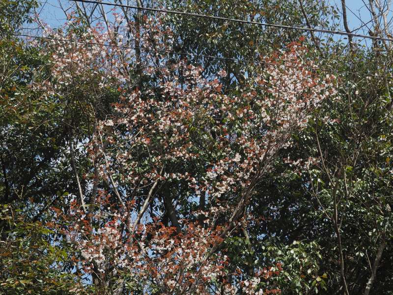 P4041738