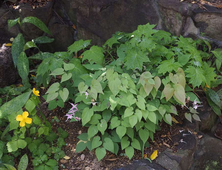 P1013435