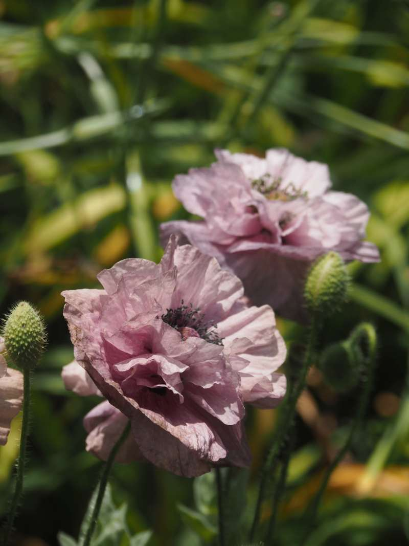 P5044962b