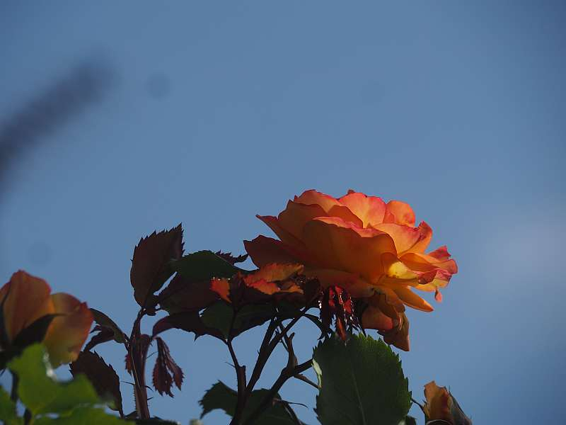 P5055013