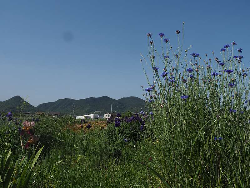 P5055040