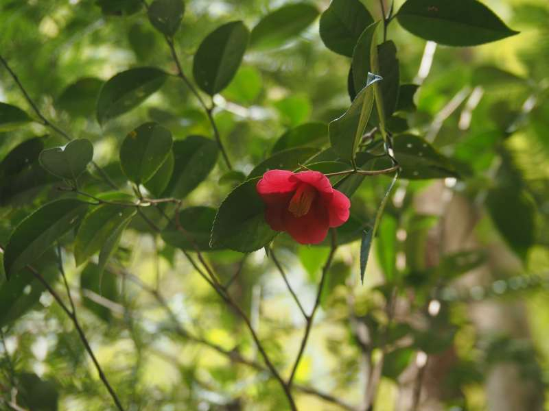 P4183394