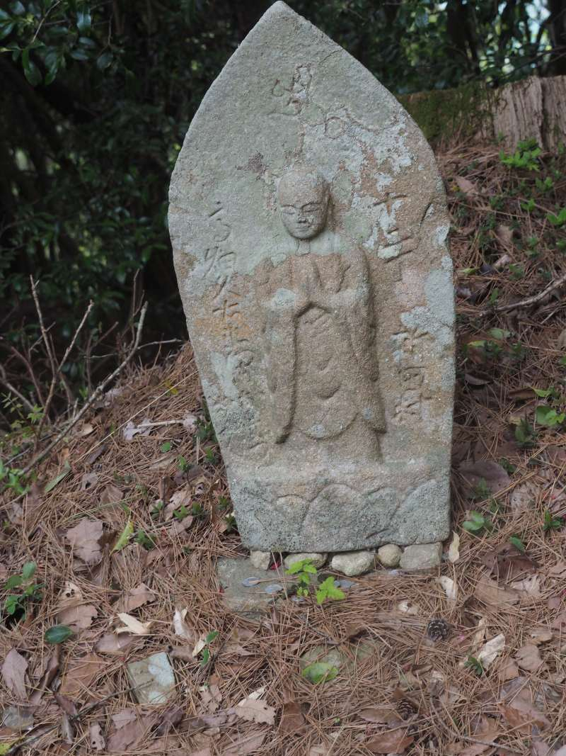 P4223673