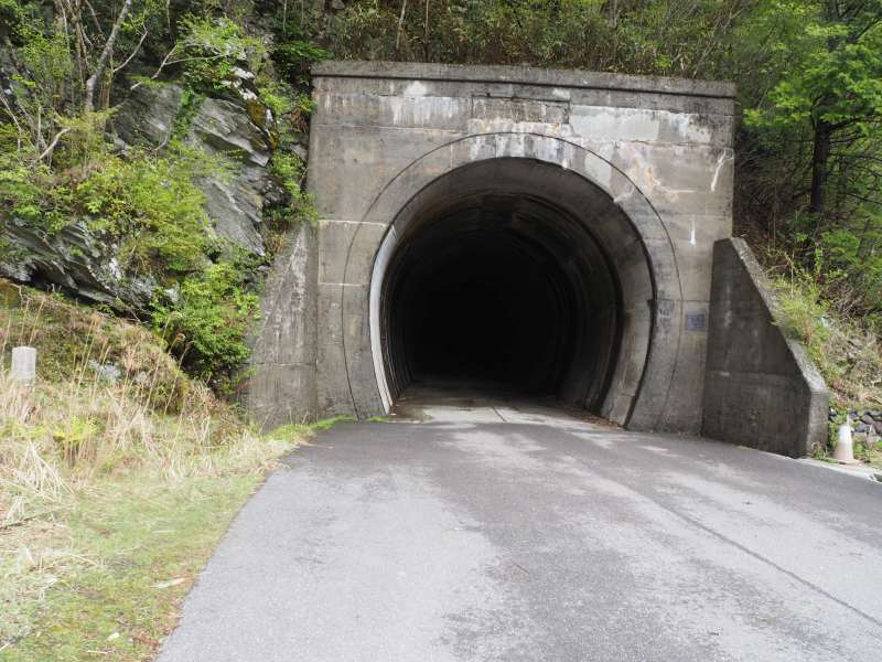 P5034595