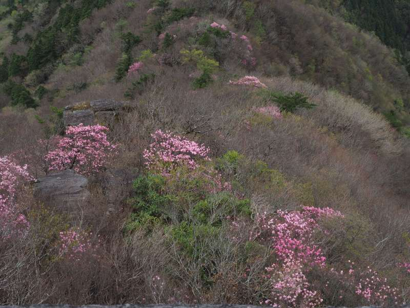 P5034734_2