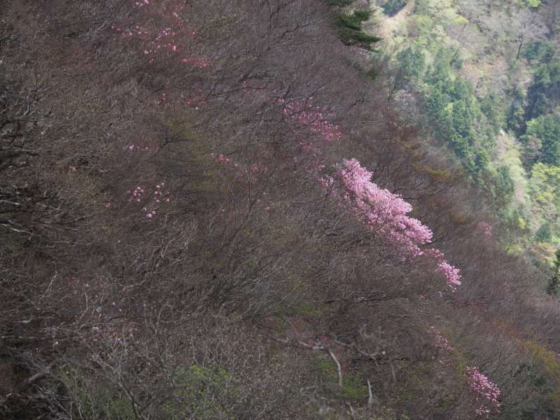 P5034777
