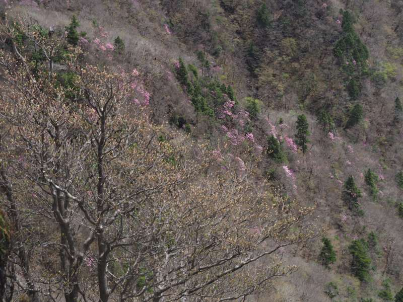 P5034787