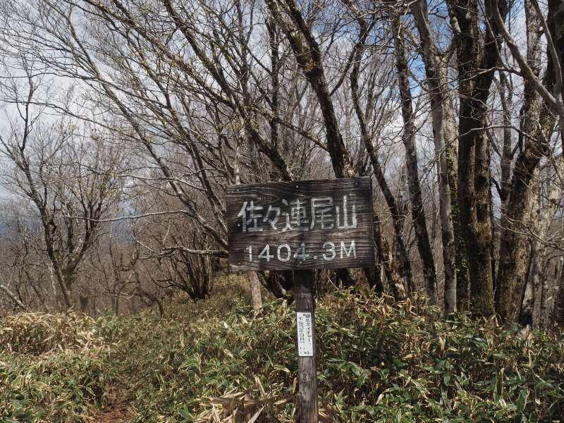 P5034810