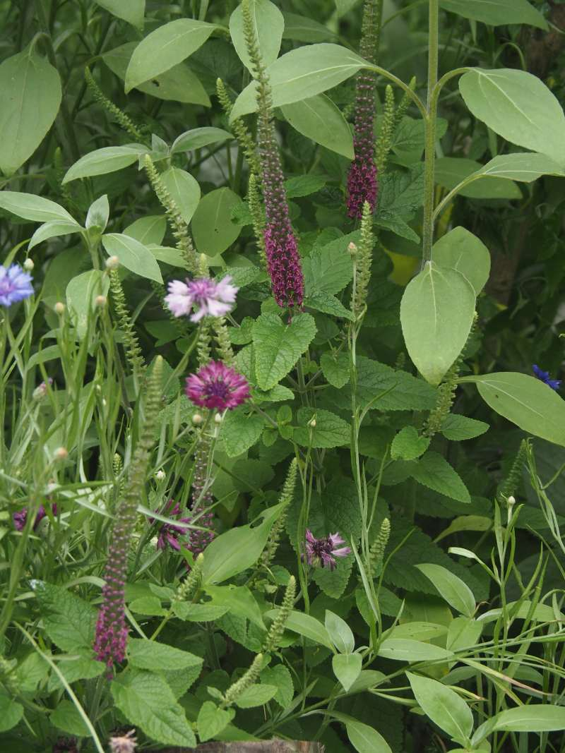 P6027571