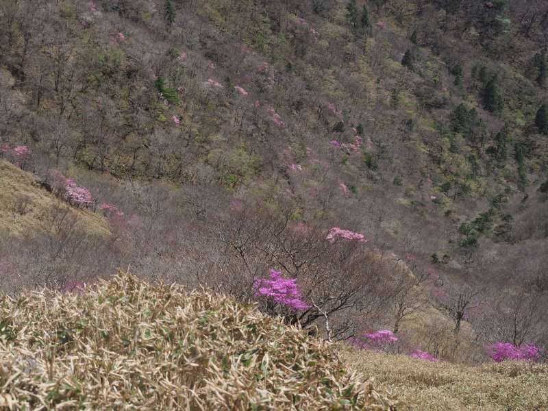 P5034840