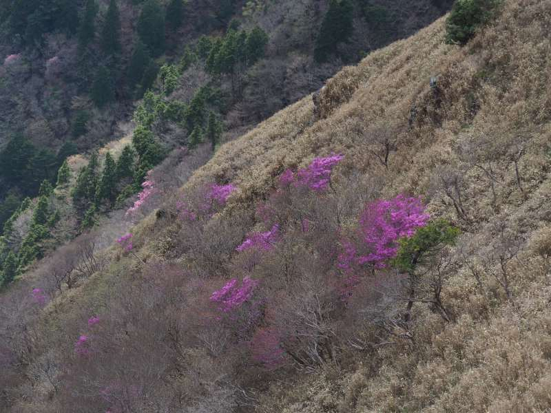 P5034845