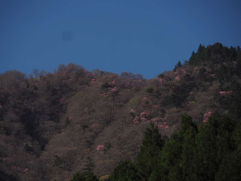 P5034938