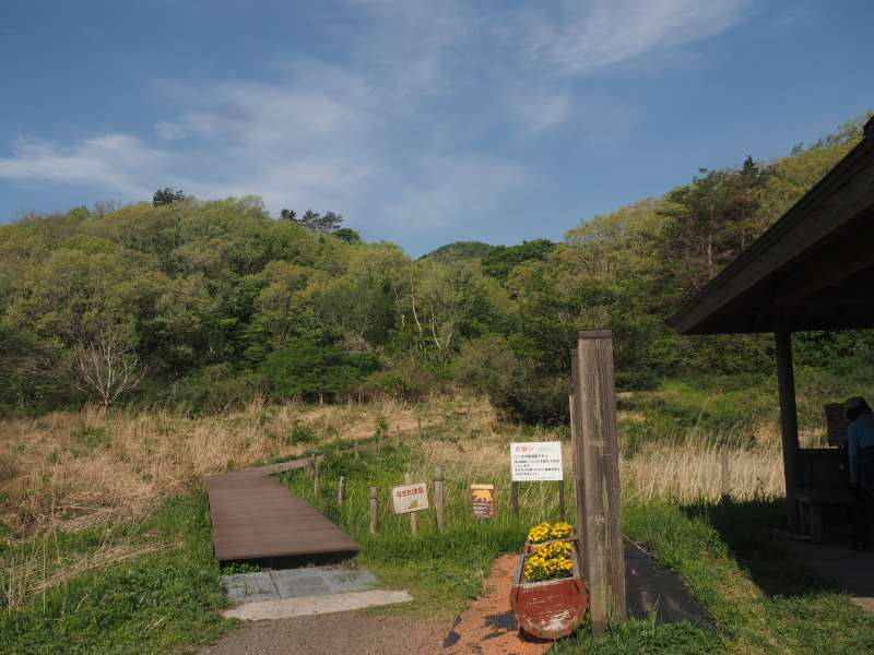 P5145782