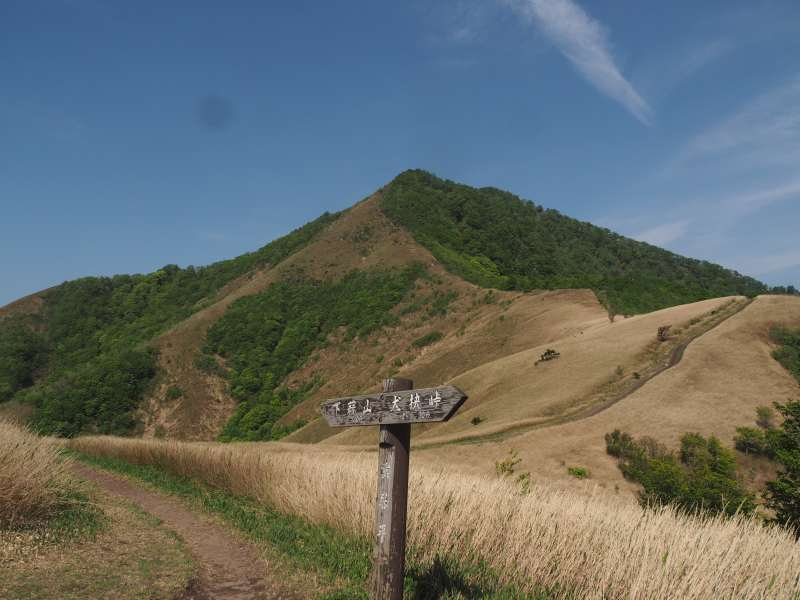 P5145829