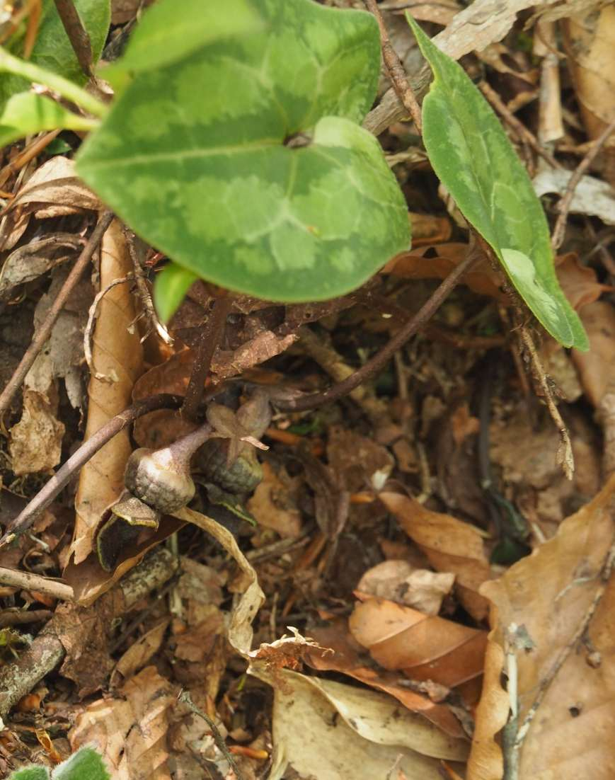 P5146124