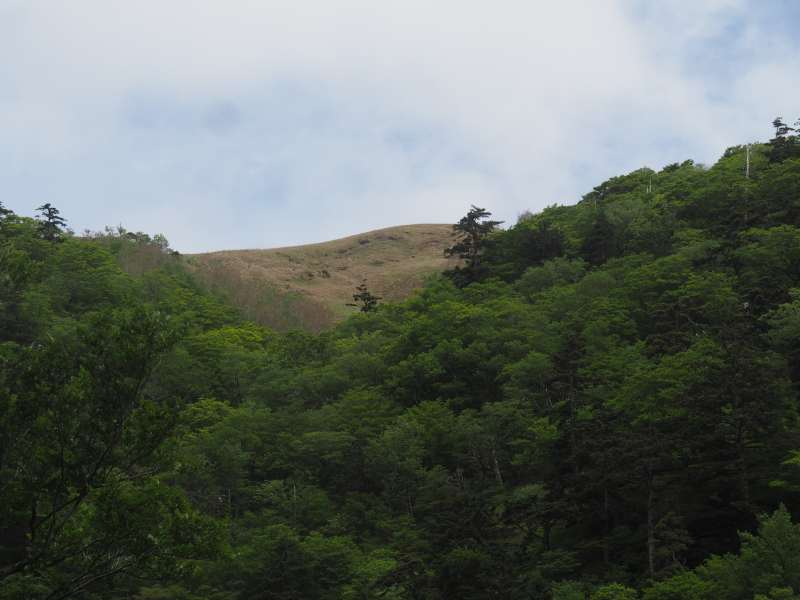 P5276789