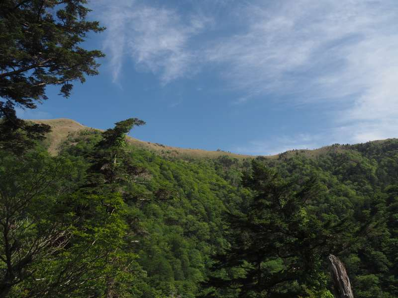 P5276804