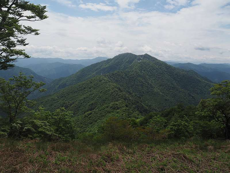P5276936