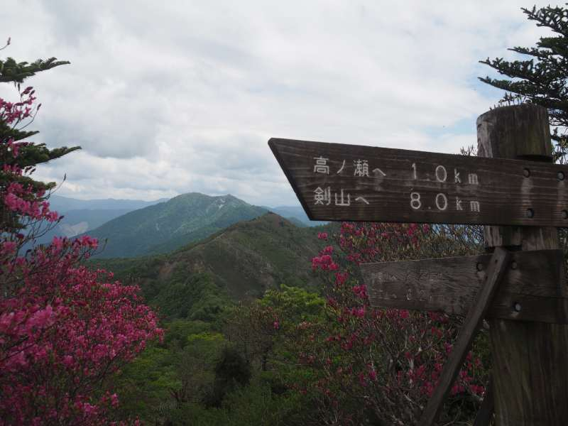 P5277037