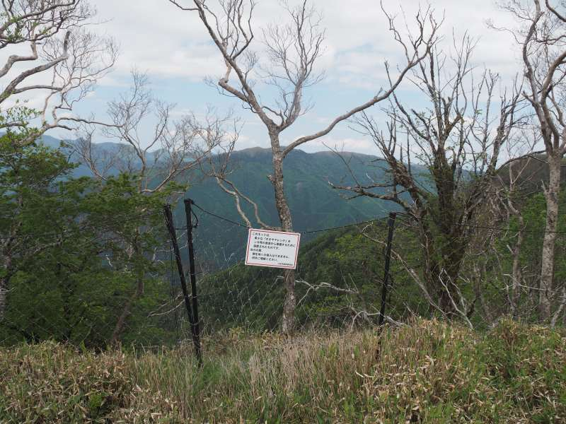 P5277039