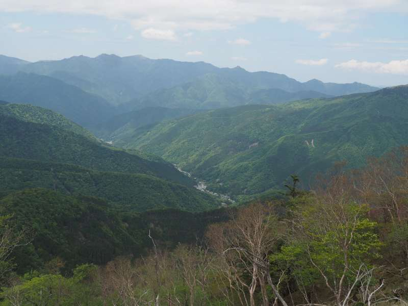 P5277045