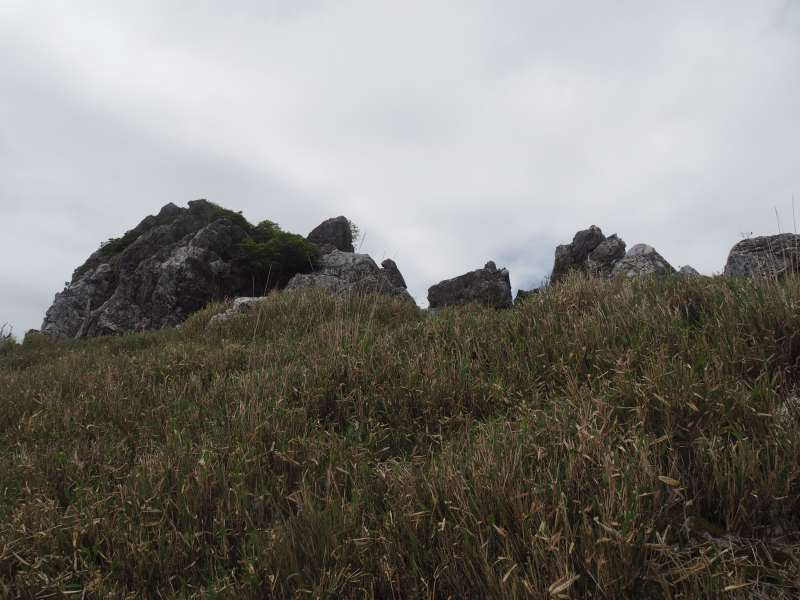 P5277049
