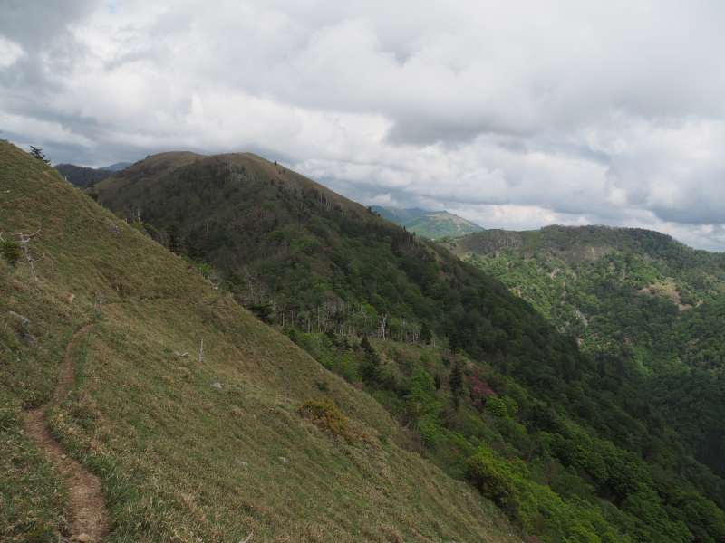 P5277079