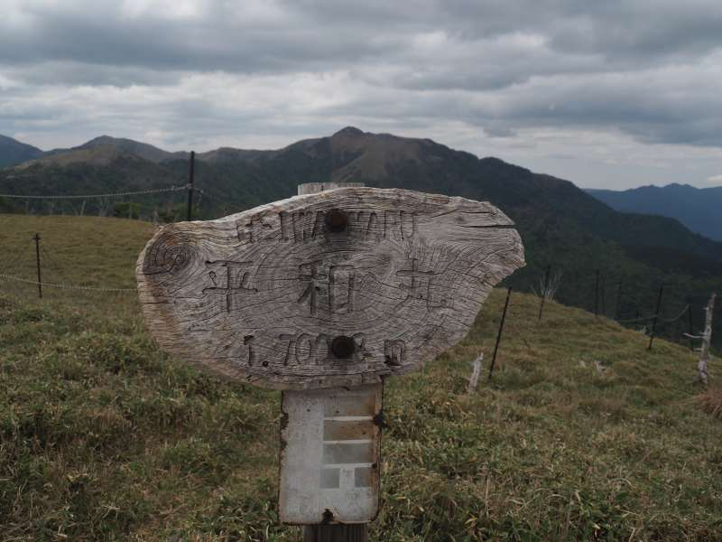 P5277085